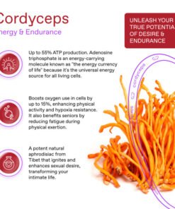 Cordyceps – THE FEEL COFFEE PODS