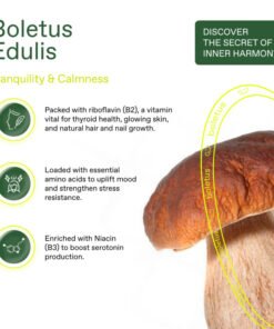 Boletus Edulis – THE PEACE COFFEE PODS