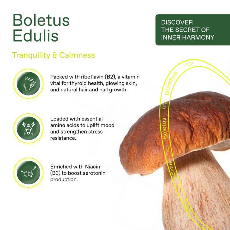 Boletus Edulis – THE PEACE COFFEE PODS