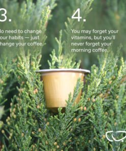 Boletus Edulis – THE PEACE COFFEE PODS