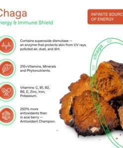 Chaga – THE RISE COFFEE PODS