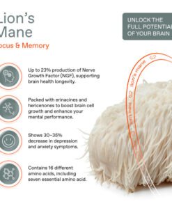 Lion’s Mane– THE SENSE MUSHROOM COFFEE PODS